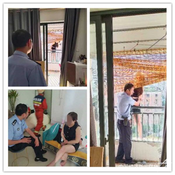 23103010.jpg?v=1698652216