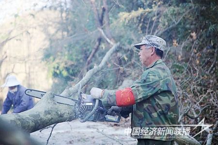 整修公路邊樹枝.jpg?v=1698820818