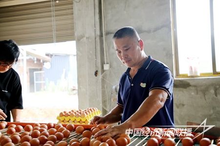 IMG_6329_proc.jpg?v=1698815726