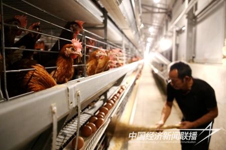 IMG_6199(1)_proc.jpg?v=1698815726