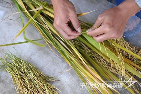 20231102006fc7cf93baaa390ee474a29f8e10d7.jpg?v=1698932441