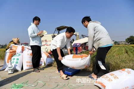 2023110203101c5e2b09624c4d31132f5185fffb.jpg?v=1698932441