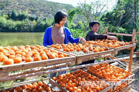 QQ圖片20231107221240.jpg?v=1699402628