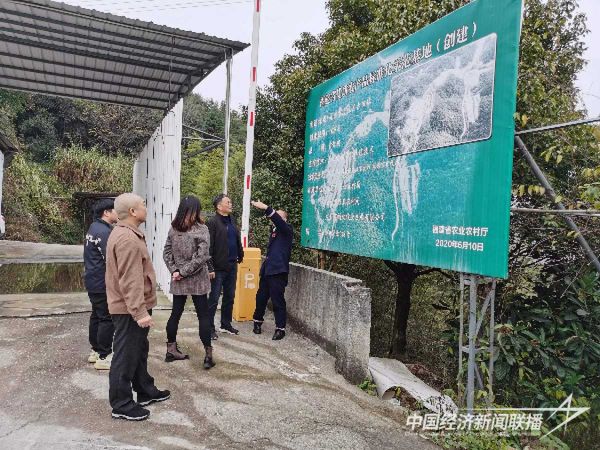 20231107上杭4_new (1).jpeg