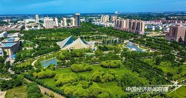 001(1)(1).jpg?v=1699449163