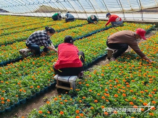 微信圖片_20231113173400.jpg?v=1699929349