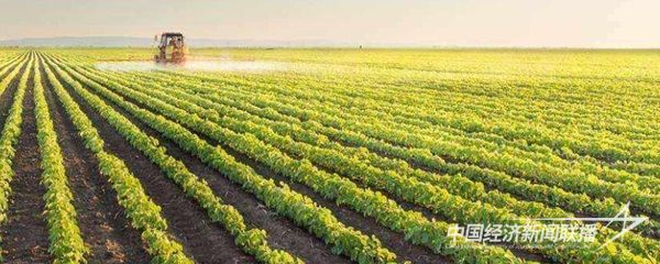 001(2).jpg?v=1699928613