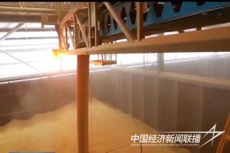 大石橋大米2.jpg?v=1700039420