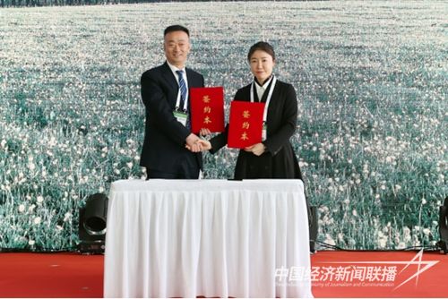 641 (4).jpg?v=1700055830