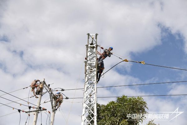 20231115  云霄供電：線路改造1.jpeg