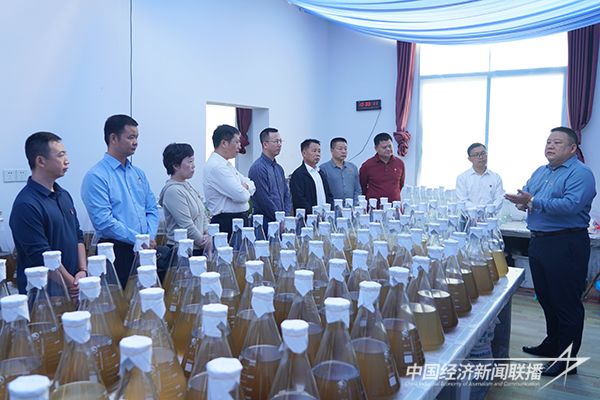 20231121海洋8.jpg?v=1700563258