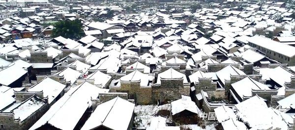 001(1).jpg?v=1700561087