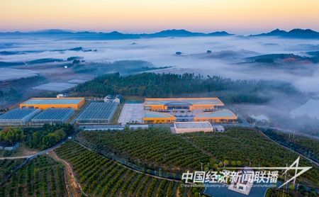 00300422841_51af22f4.jpg?v=1700911925