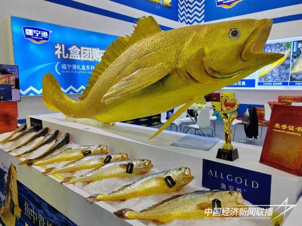 20231127大黃魚1_new (1).jpeg