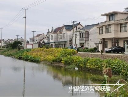 001(1)(1).jpg?v=1701075904