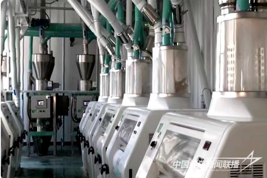 微信圖片_20231201174246.jpg?v=1701424455