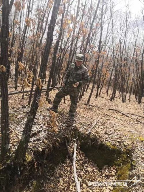 d6710c1b2927d3c307e219fbc82af22.jpg?v=1701917439