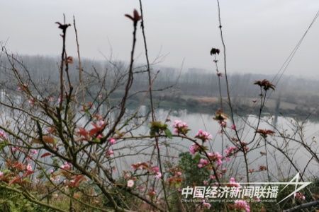 微信圖片_20231207095131.jpg?v=1701916578