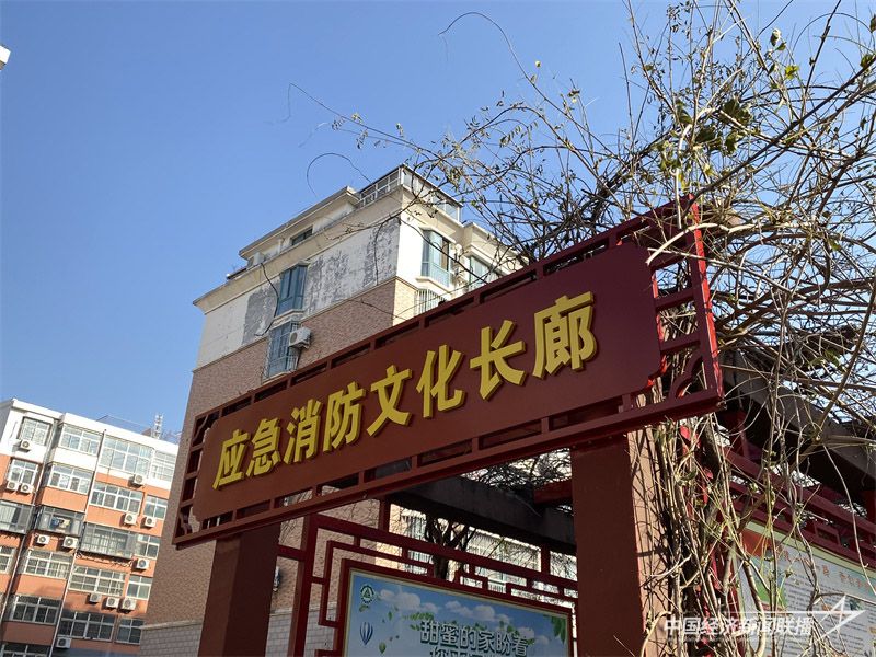 圖片 6.jpg?v=1702266923