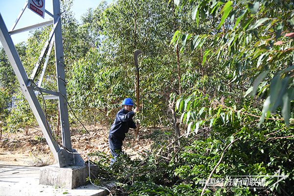 20231211  云霄供電：“三強(qiáng)化”2.jpg?v=1702280239