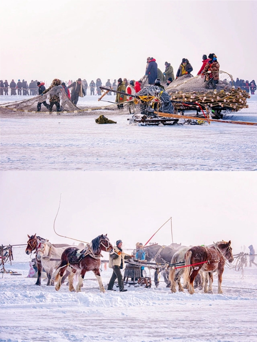 hljrb_2_20200975ee0aa0-73f2-4e65-a55b-4be6c5838da0 (1).jpg