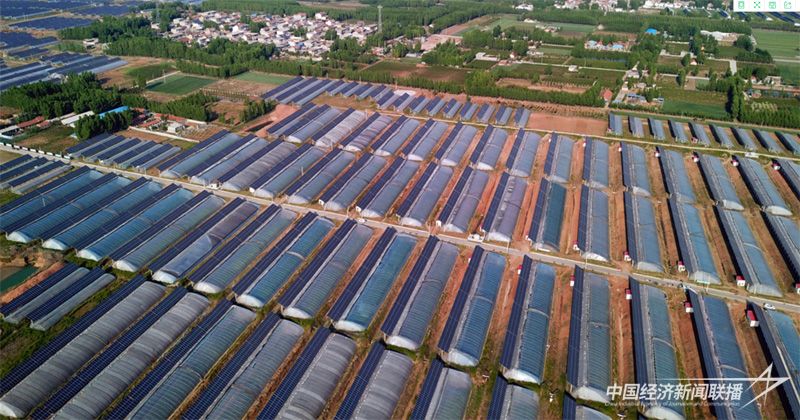 新泰市采煤塌陷區(qū)農(nóng)光互補(bǔ)基地.jpg?v=1703648120