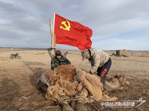 阿拉善盟額濟(jì)納旗馬鬃山蘇木志愿服務(wù)隊(duì)幫助牧民依勒勒圖剪駝毛.jpg?v=1703828328