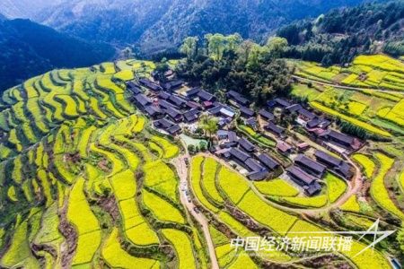 4GGIA0Y9.jpg?v=1704458367