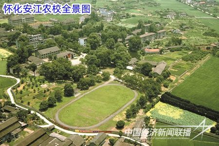 7397e641d1a4413ea6e220d3b0dcfdbe.jpg?v=1705121330