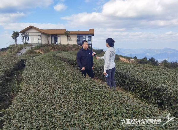 20240115  蔡克修&黃建軍強(qiáng)強(qiáng)聯(lián)手：探索“茶旅融合”新模式12.jpg?v=1705310814