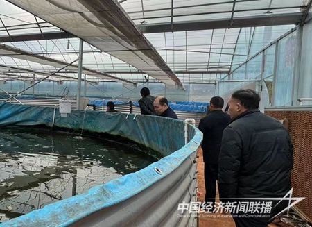 QQ圖片20240117090407.jpg?v=1705560457