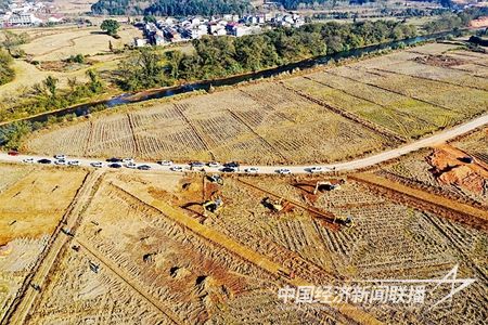 1000.jpg?v=1705918267