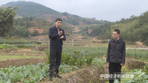 20240124  華安縣委書記調(diào)研指導(dǎo)防寒防凍工作1.jpeg