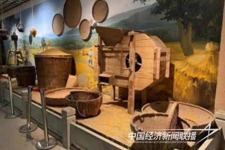 7Z1XRJ7L.jpg?v=1706087837