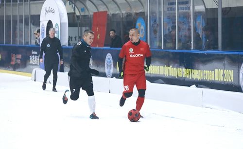 6545328a4a58a44e3f88e531259a78a.jpg?v=1706327793