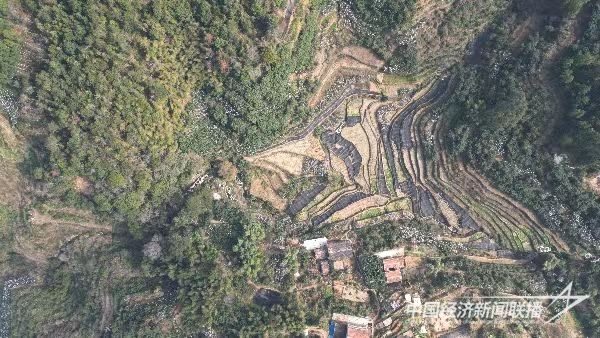 微信圖片_20240129092159.jpg?v=1706511193