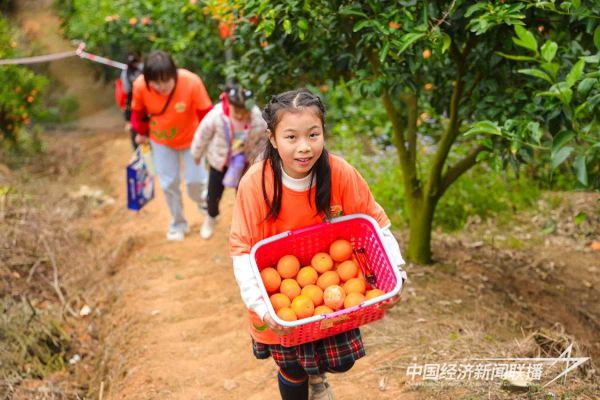 20240218華安8_new (1).jpeg