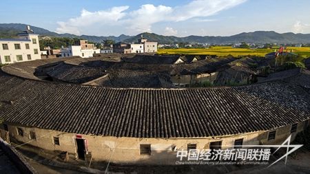 03312860-68bd-4750-80d9-4dc86b216055.jpg?v=1708408943