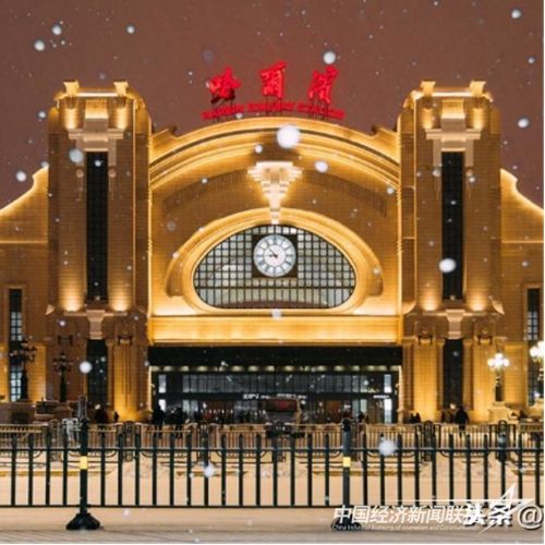 641 (8).jpg?v=1708684499