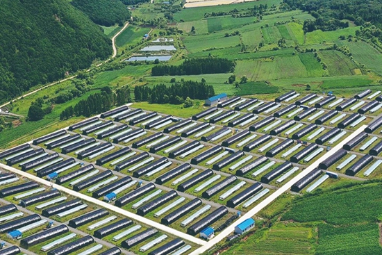 微信圖片_20240307230419.jpg?x-oss-process=style/water