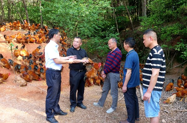 20240509  長?。狐h建引領河田雞產業(yè)高質量發(fā)展2.jpeg?x-oss-process=style/water