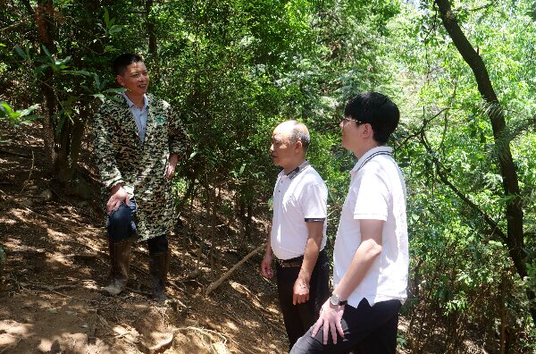 20240509  長?。狐h建引領河田雞產業(yè)高質量發(fā)展4.jpeg?x-oss-process=style/water