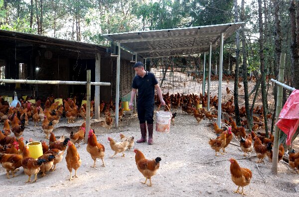 20240509  長?。狐h建引領河田雞產業(yè)高質量發(fā)展5.jpeg?x-oss-process=style/water