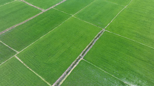 888cd14d9192db649dba681399740d6.png?x-oss-process=style/water