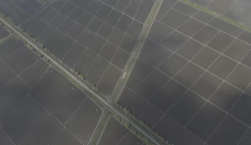 2e156cbac2551494c48fb61d79f5140.png?x-oss-process=style/water