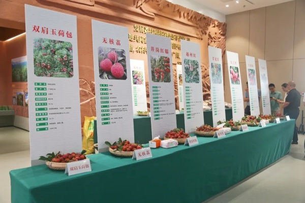 20240715漳浦5.jpg?x-oss-process=style/water