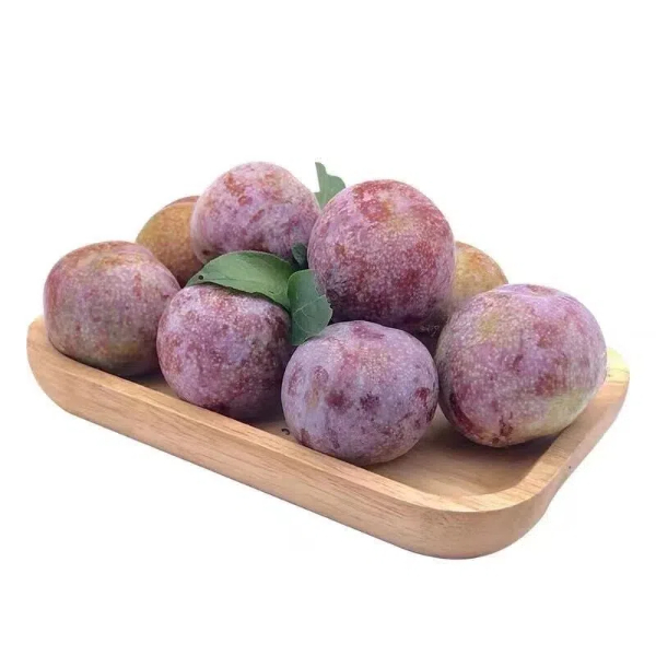 20240726連城3.jpg?x-oss-process=style/water