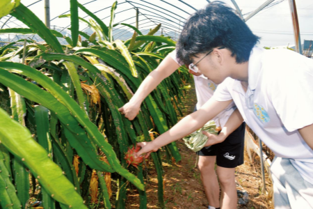 圖片3.png?x-oss-process=style/water