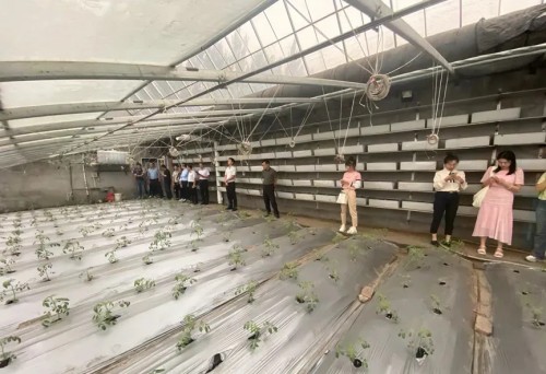 11.jpg?x-oss-process=style/water