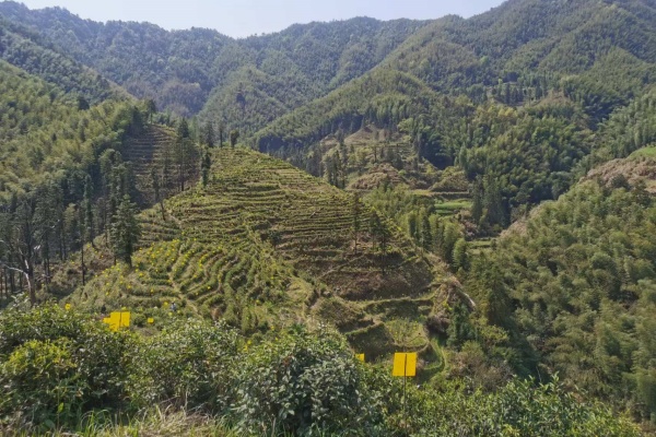 圖片3.jpg?x-oss-process=style/water